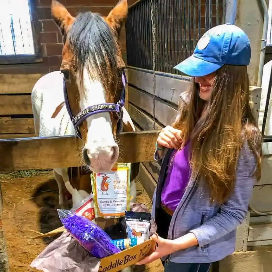 SaddleBox gourmet horse treats