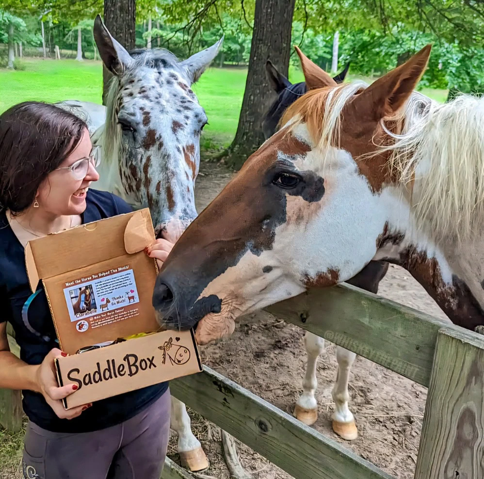 Horse with SaddleBox horse treats