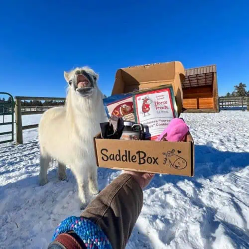 gifts for horse lovers