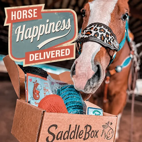 SaddleBox horse treat subscription box