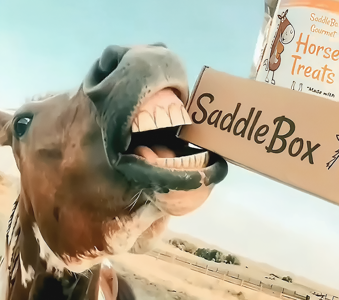 Excited horse biting a SaddleBox gift box