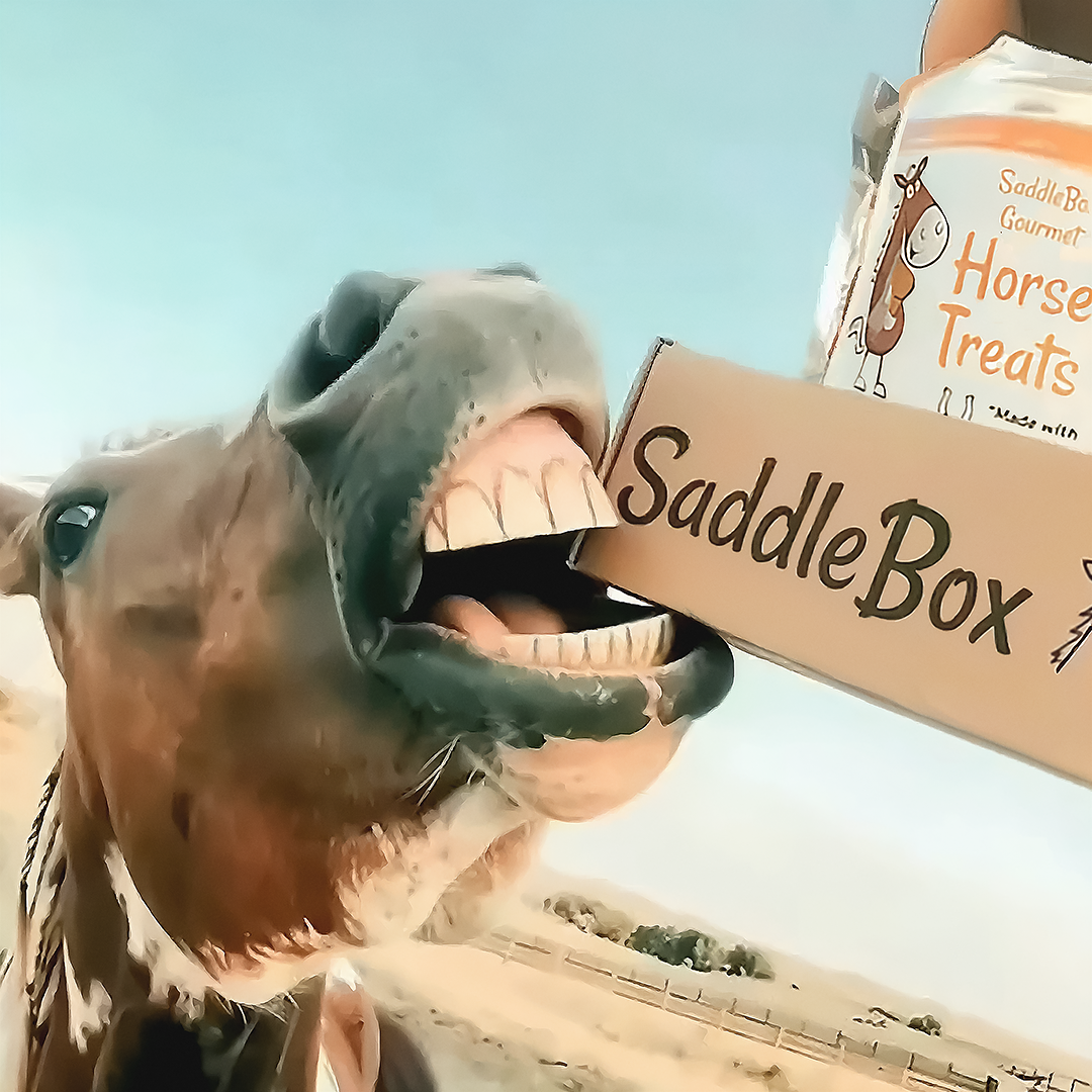 horse gift box