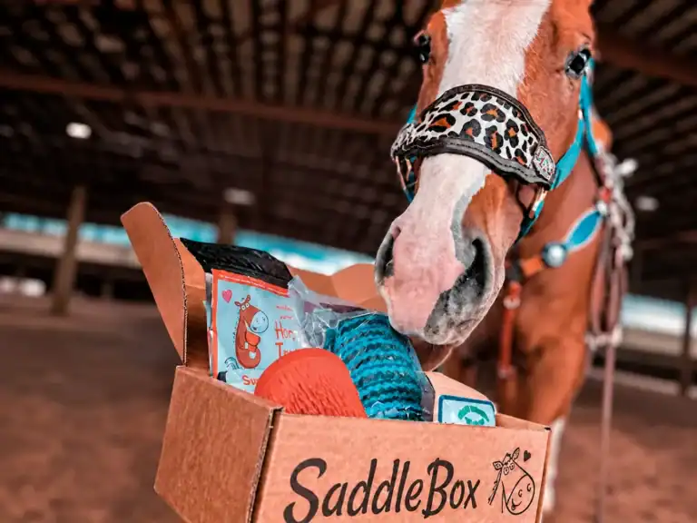SaddleBox horse treat subscription box