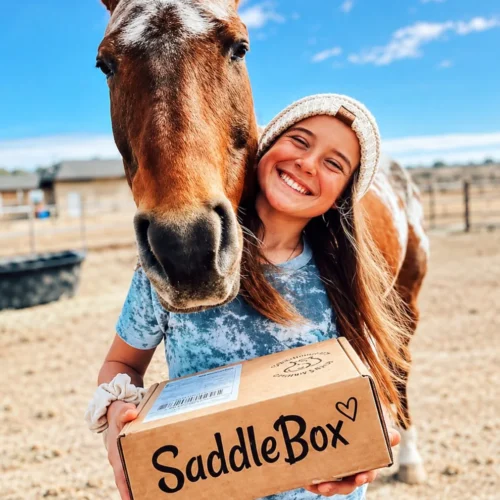 saddlebox reviews