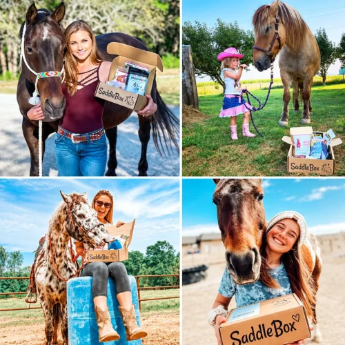 Saddle Box Horse Subscription