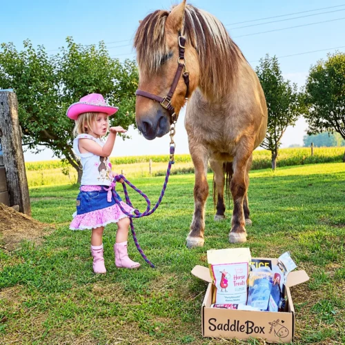 saddlebox horse gifts