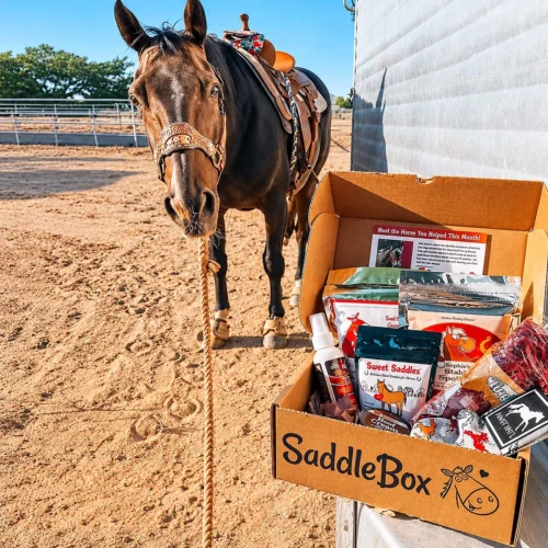 horse gift ideas